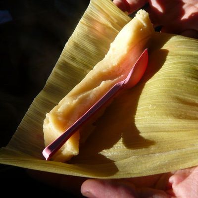 Tamales De Elote