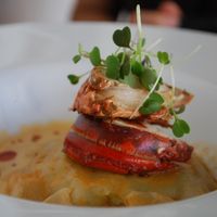 Bisque