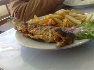 Trucha Frita en San Mateo, Huarochirí - Perú