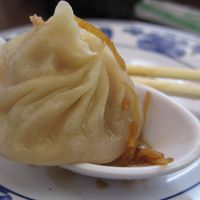 Soup Dumpling