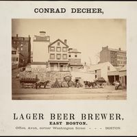 Lager Beer
