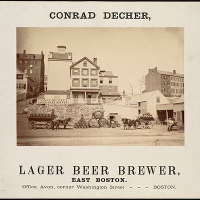 Lager Beer
