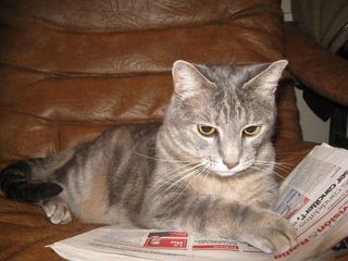 Kumie reading the evening news