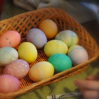 Egg Salad