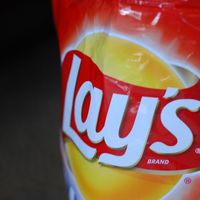 Potato Chip