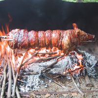 Porchetta