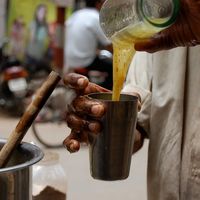Aam Panna