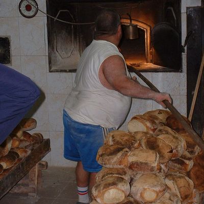 Maltese Bread