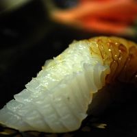 Ika Nigiri Sushi