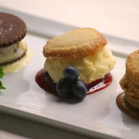 Ice Cream Sandwich
