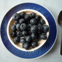 Semolina Pudding