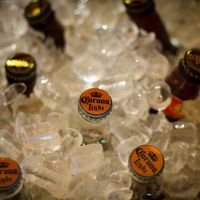 Corona Light Beer