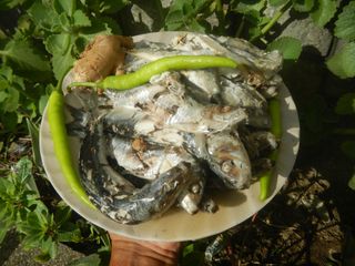 5011Paksiw na Isda Ginisang monggo 03