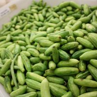 Tindora Fry