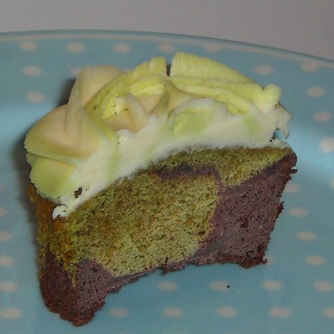 matcha cocoa marble cake