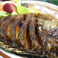 Mojarra Frita