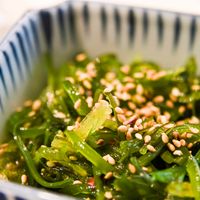 Seaweed Salad