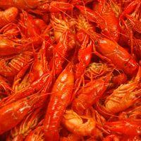 Crawfish