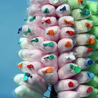 Cotton Candy