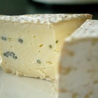 Blue Cheese