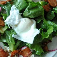 Lettuce Salad