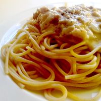 Macaroni Bechamel