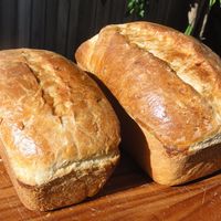 Potato Bread