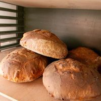 Pain De Campagne