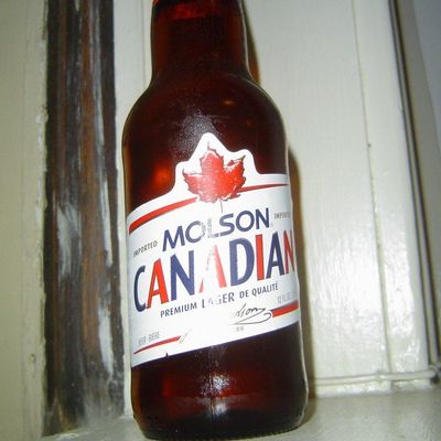Molson Canadian Lager Beer