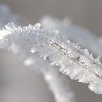 Rock Candy