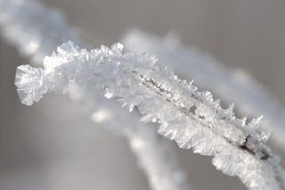 Rock candy