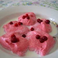 Vispipuuro