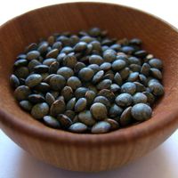 Lentils