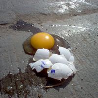 Huevos Estrellados