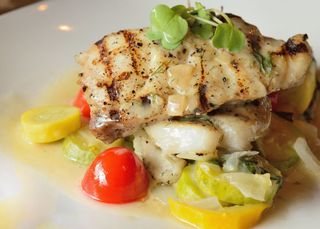 Black Grouper