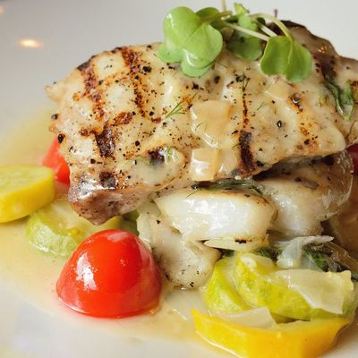 Black Grouper