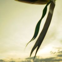 Ketupat