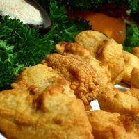 Fritter