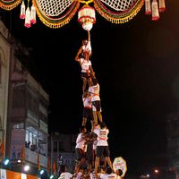 Hung Curd