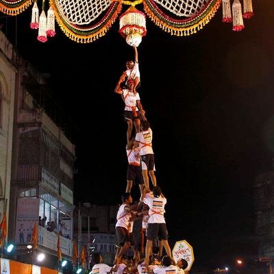 Hung Curd