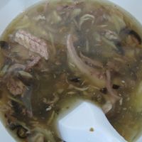 Snake Soup