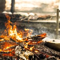 Asado