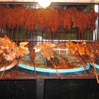 Suya