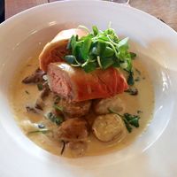 Scottish Salmon