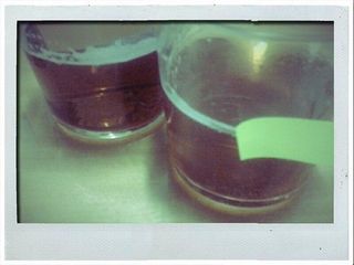 Infusiones para probar