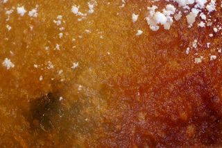 Oliebol