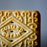 Custard Cream
