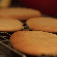 Butter Cookie
