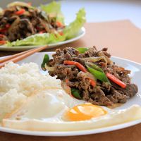 Beef Bulgogi