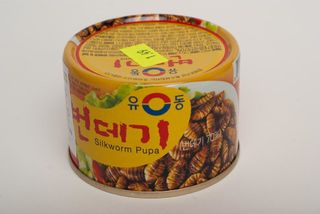 Beondegi